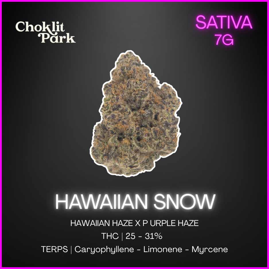 Choklit Park - Hawaiian Snow Whole Flower - 7G