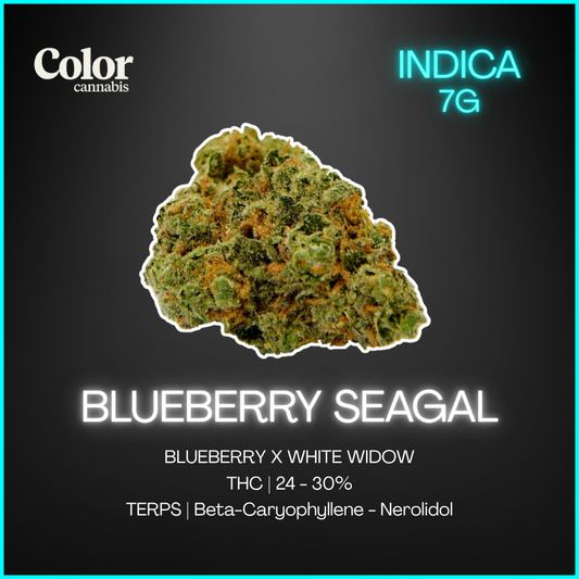 Color Cannabis - Blueberry Seagal - 7G