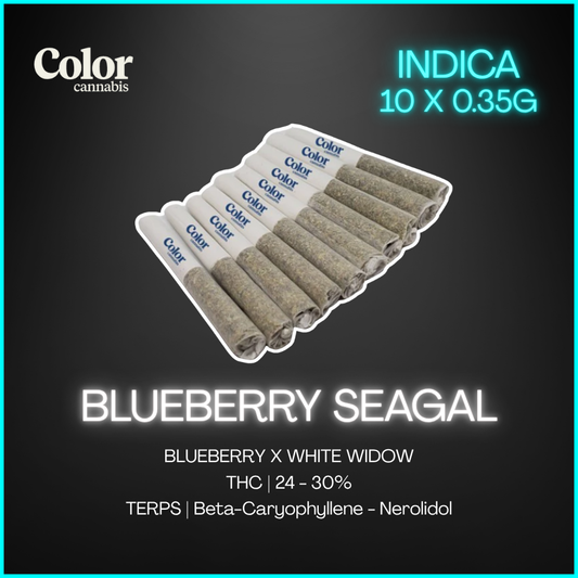 Color Cannabis - Blueberry Seagal Pre-Rolls - 3.5G