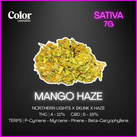 Color Cannabis - Mango Haze - 7G