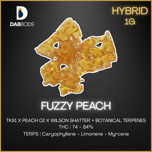 Dab Bods - Fuzzy Peach Shatter 2.0 - 1G