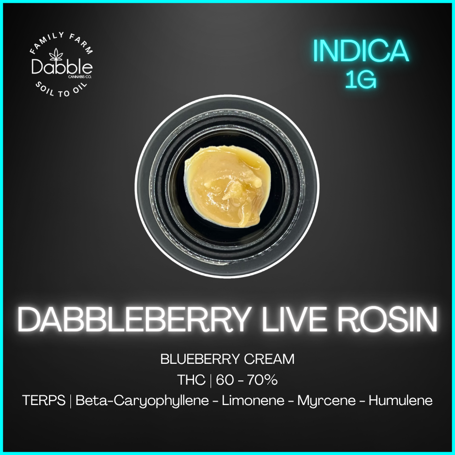Dabble Cannabis Co. - Dabbleberry Live Rosin - 1G