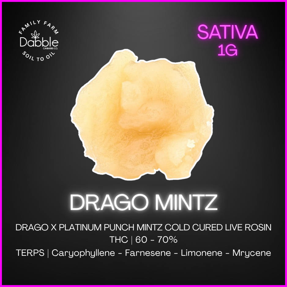 Dabble Cannabis Co. - Drago Live Rosin Lto - 1G