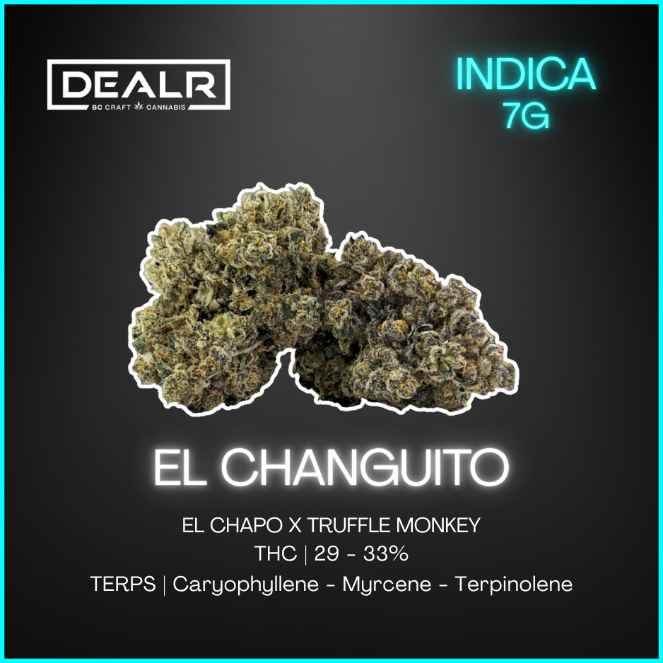 Dealr - El Changuito Lto - 7G