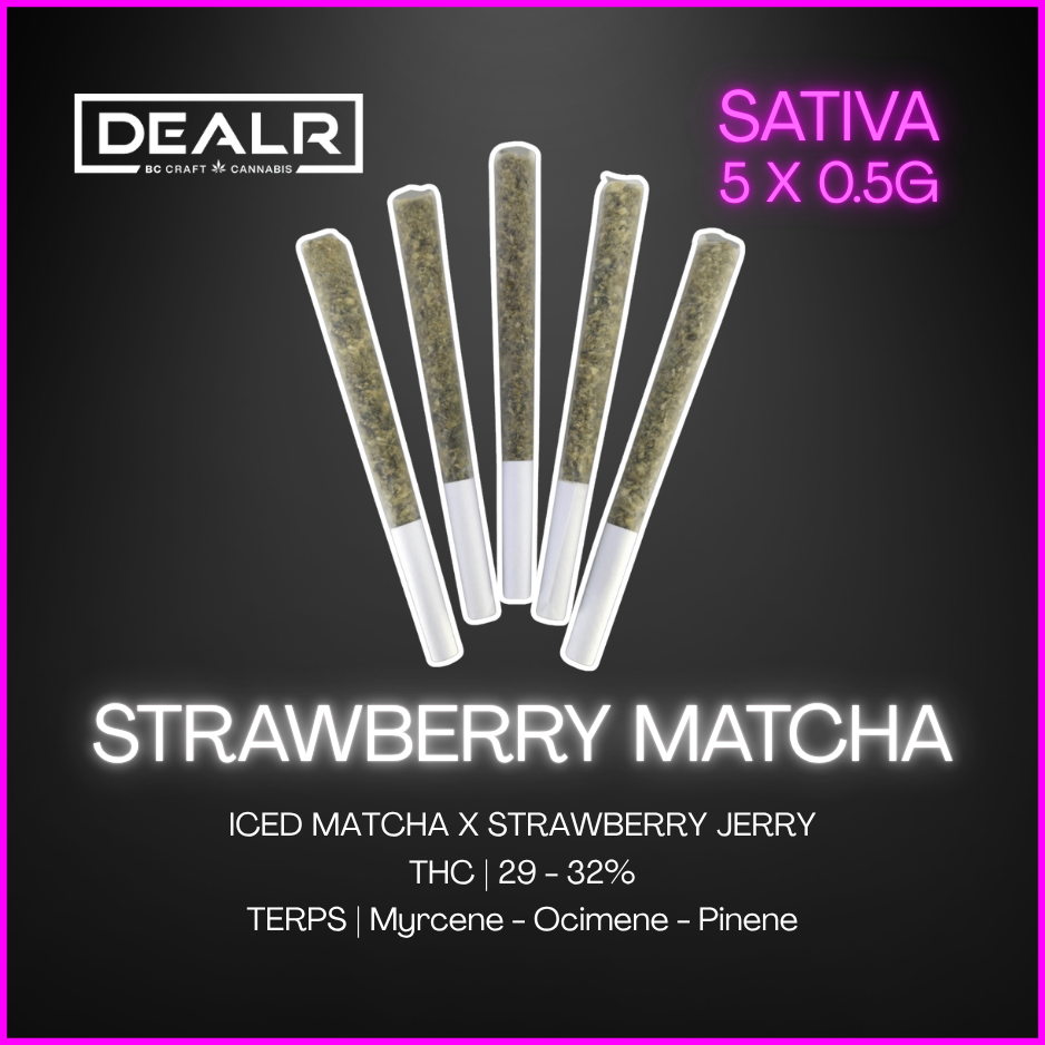 Dealr - Strawberry Matcha Pre-Rolls - 2.5G