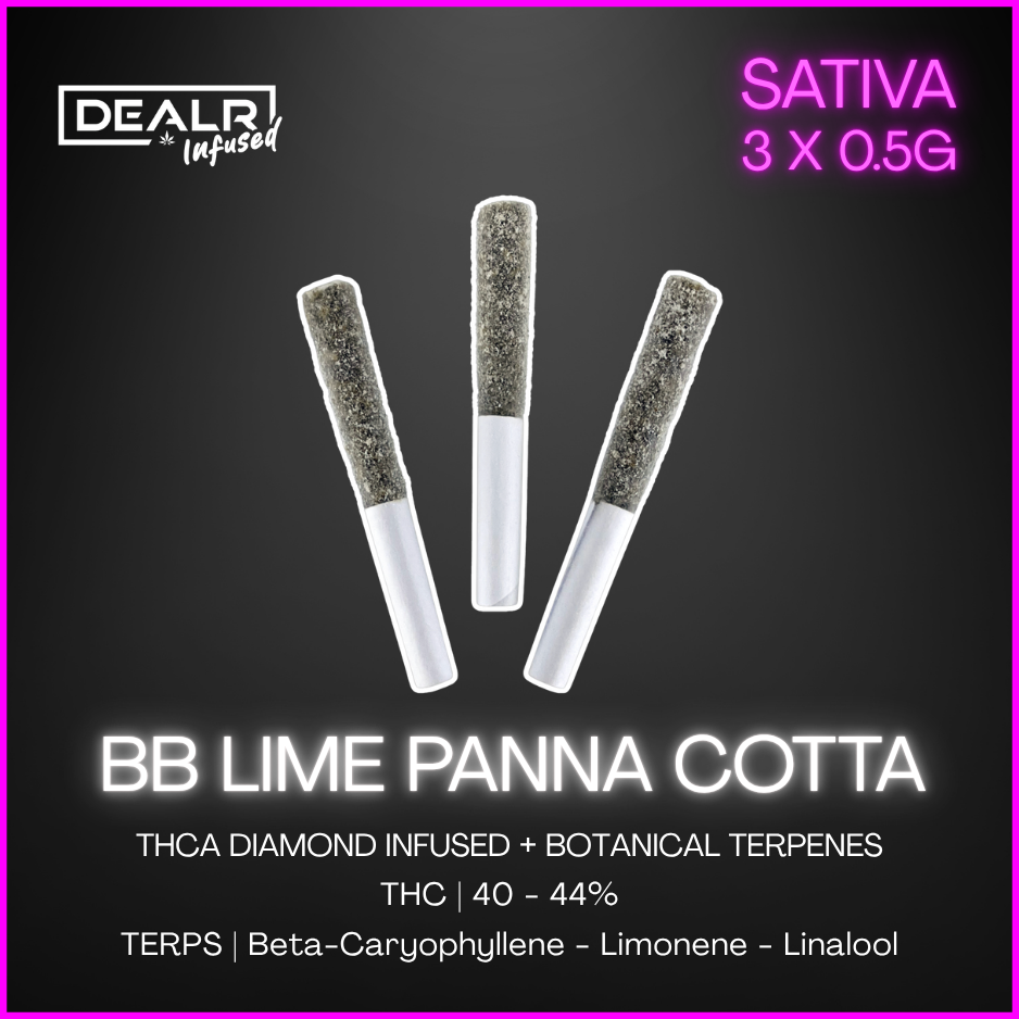 Dealr Infused - Blackberry Lime Panna Cotta Infused Pre-Rolls - 1.5G