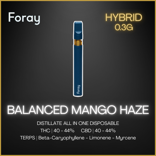 Foray - Balanced Mango Haze Disposable Vape Pen - 0.3G