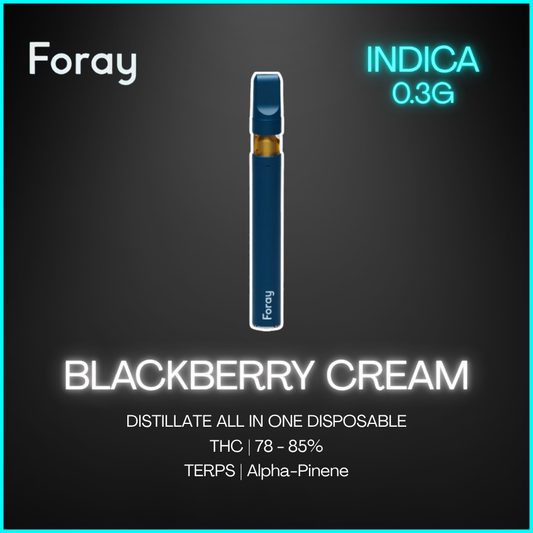 Foray - Indica Blackberry Cream Disposable Pen - 0.3G