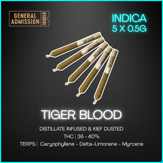 General Admission - Tiger Blood Distillate Infused Pre-Rolls - 2.5G
