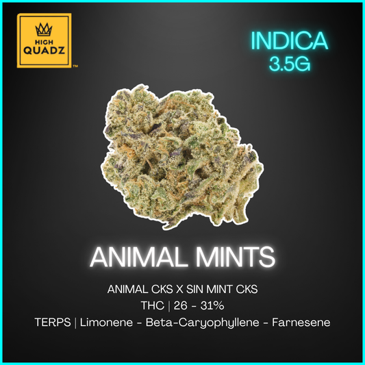 High Quadz - Animal Mints - 3.5G