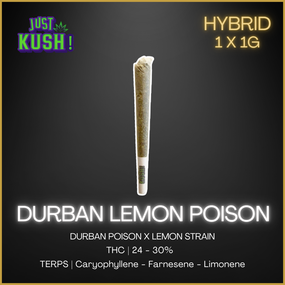 Justkush - Durban Lemon Poison Pre-Roll - 1G