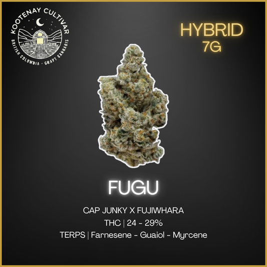 Kootenay Cultivar - Fugu Lto - 7G