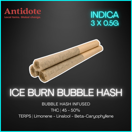 Koots Canna - Ice Burn Bubble Hash Infused Pre Rolls - 1.5G