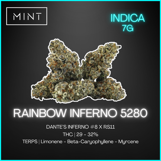 Mint Cannabis - Rainbow Inferno 5280 - 7G