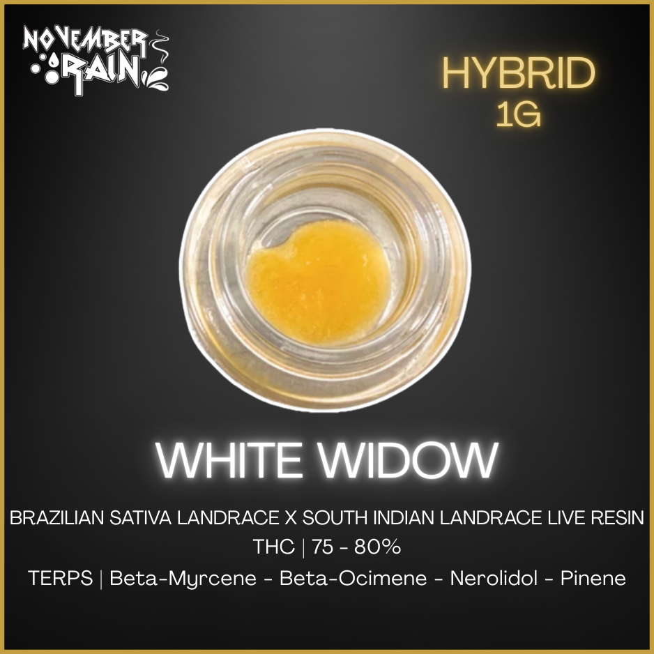 November Rain - White Widow Live Resin - 1G