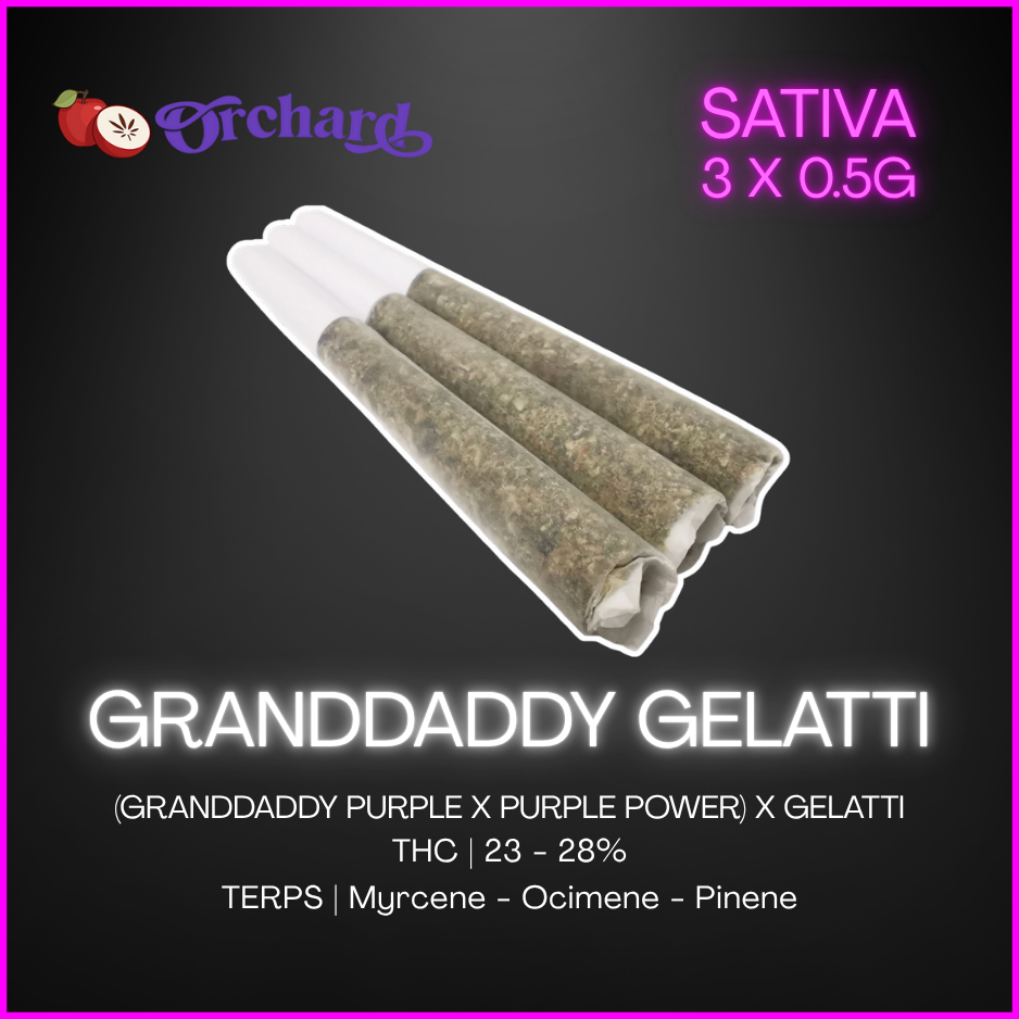 Orchard - Granddaddy Gelatti Prerolls - 3 x 0.5g