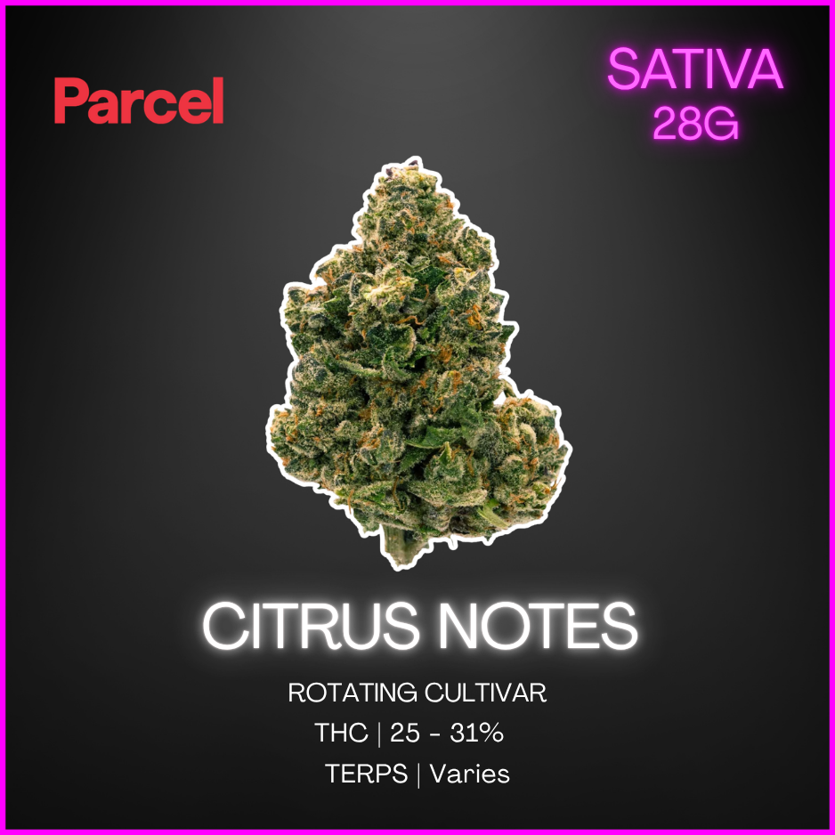 Parcel - Citrus Notes - 28G