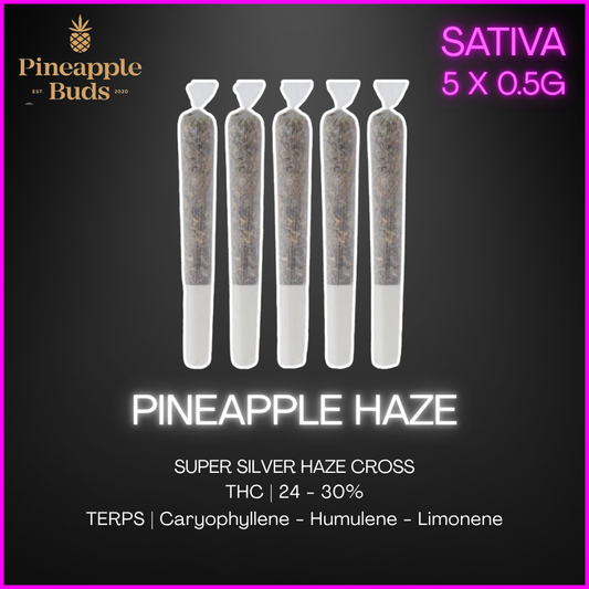 Pineapple Buds - Pineapple Haze Pre-Rolls - 2.5G