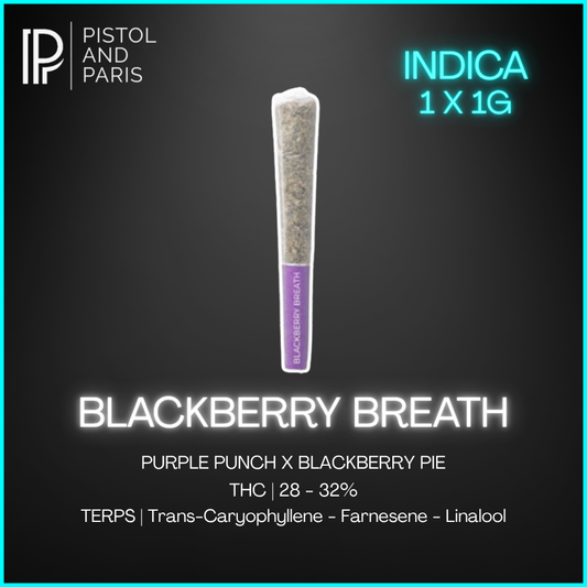 Pistol & Paris - Blackberry Breath Prerolls - 1 x 1g