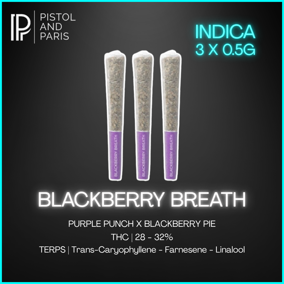Pistol & Paris - Blackberry Breath Prerolls - 3 x 0.5g