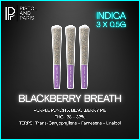 Pistol & Paris - Blackberry Breath Prerolls - 3 x 0.5g