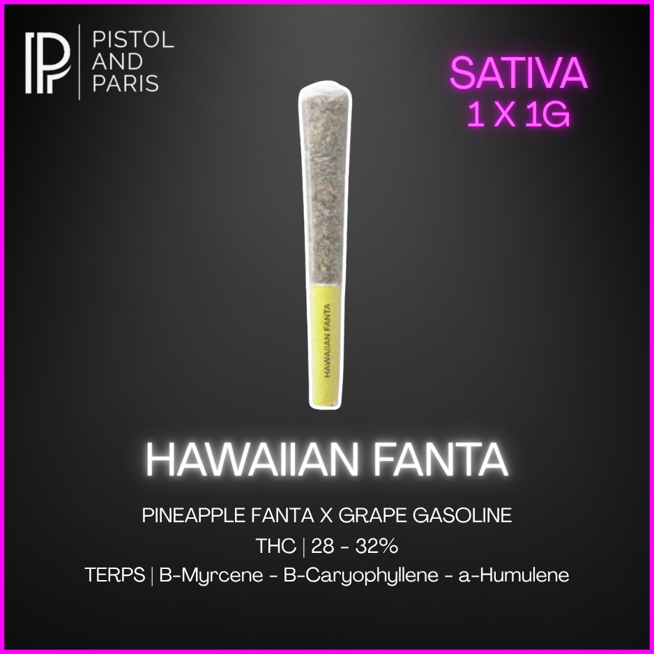 Pistol & Paris - Hawaiian Fanta Prerolls - 1 x 1g
