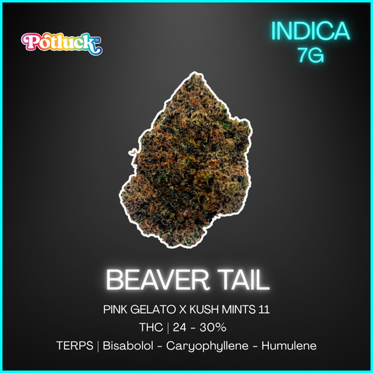 Potluck - Beaver Tail - 7G