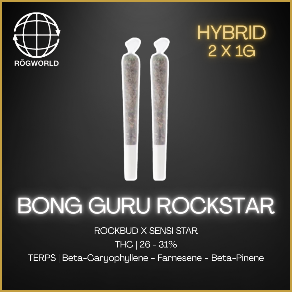ROGworld - Bong Guru Rockstar Blunts - 2x1g