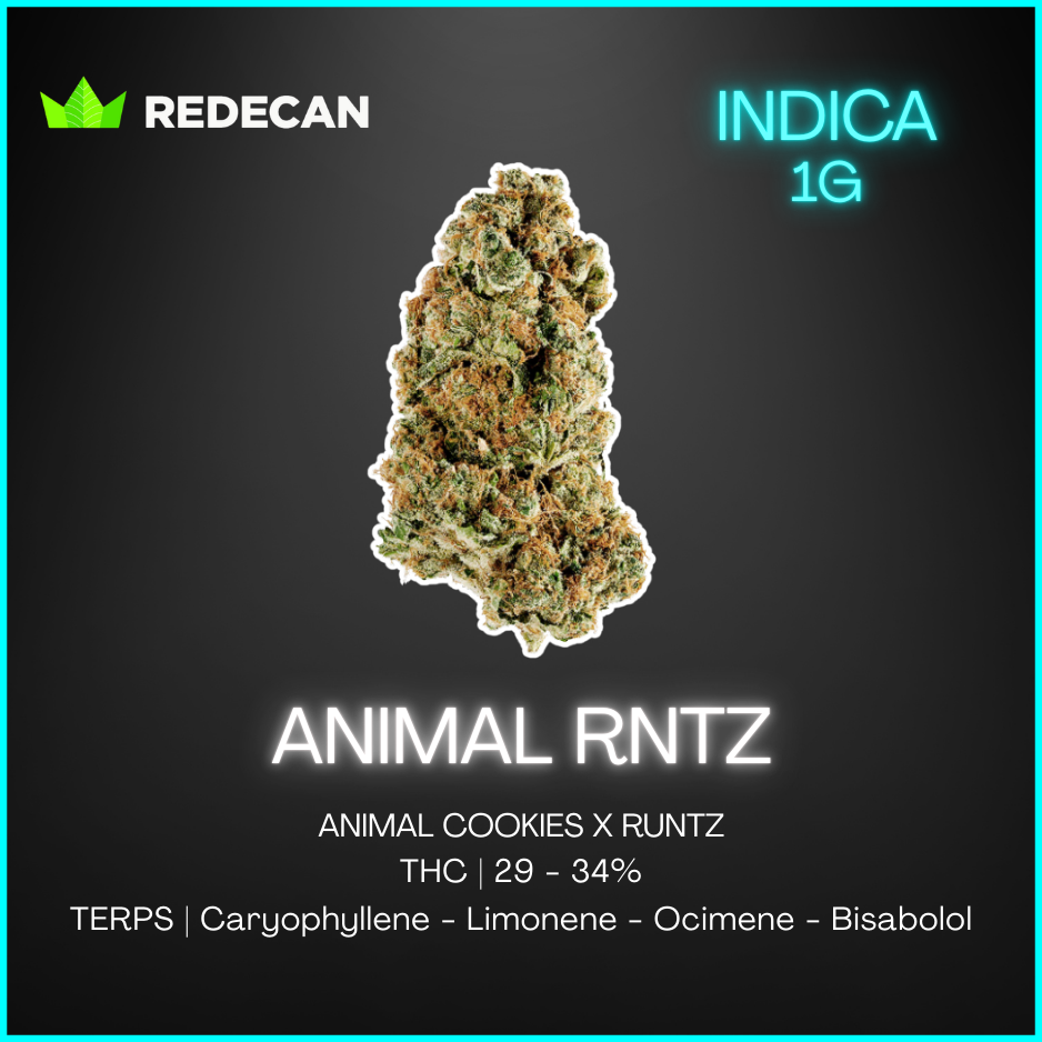 Redecan - Animal Rntz - 1G