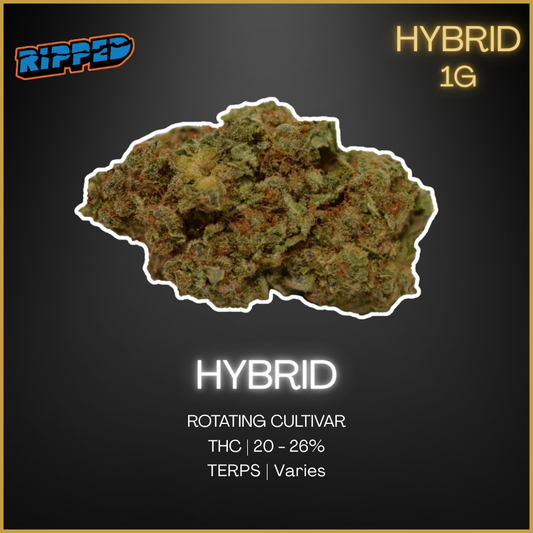 Ripped - Ripped Hybrid Dried Flower - 1G