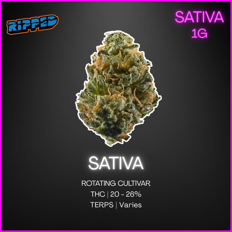 Ripped - Ripped Sativa Dried Flower - 1G