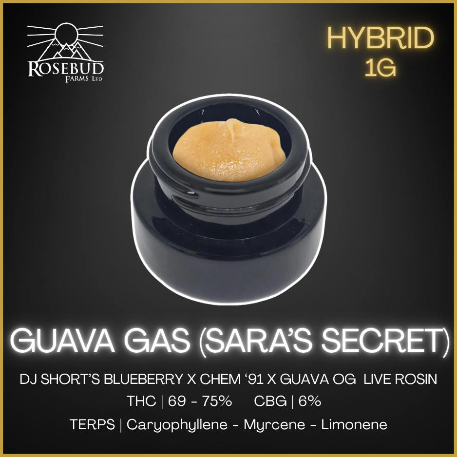 Rosebud Cannabis Farms - Bc Guava Gas 2.0 Live Rosin - 1G