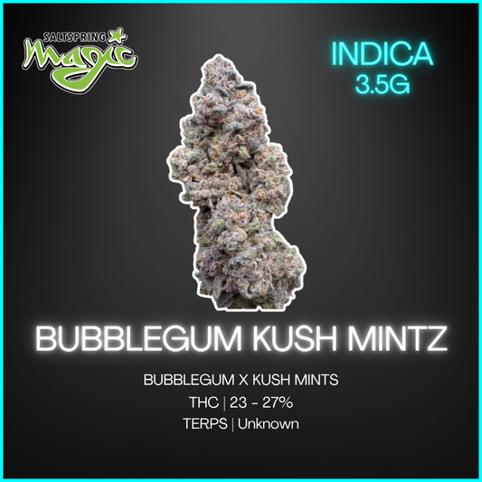Salt Spring Magic - Bubblegum Kush Mintz - 3.5g
