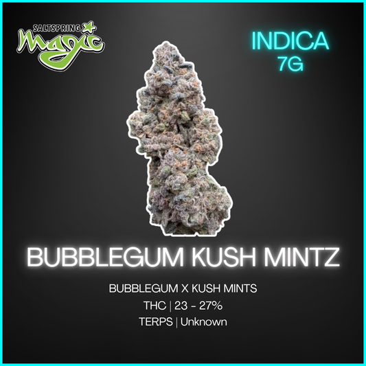 Salt Spring Magic - Bubblegum Kush Mintz - 7g