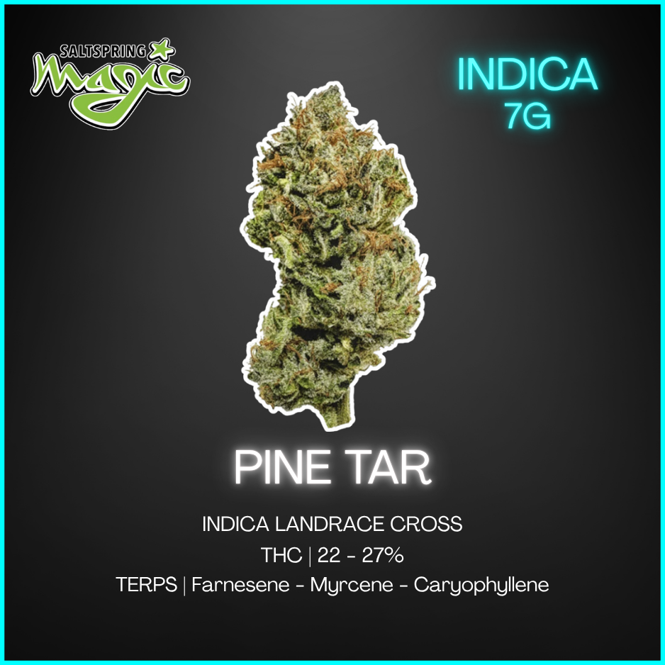 Salt Spring Magic - Pine Tar - 7g