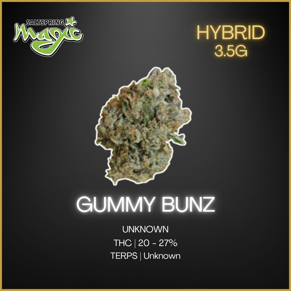 Saltspring Magic - Gummy Bunz 3.5 Gram