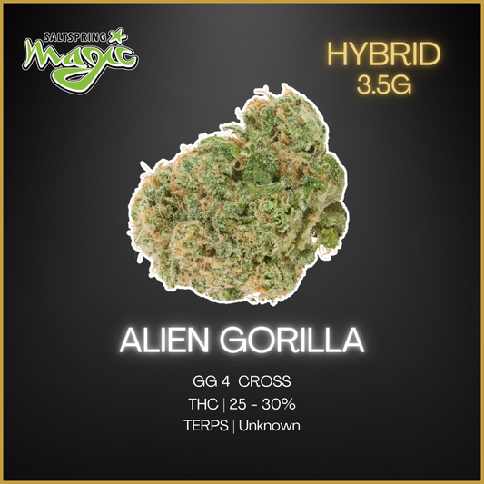 Saltspring Magic - Alien Gorilla 3.5 Gram