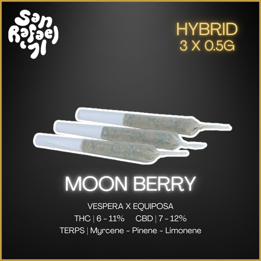 San Rafael '71 - Moon Berry Pre-Rolls  - 1.5G