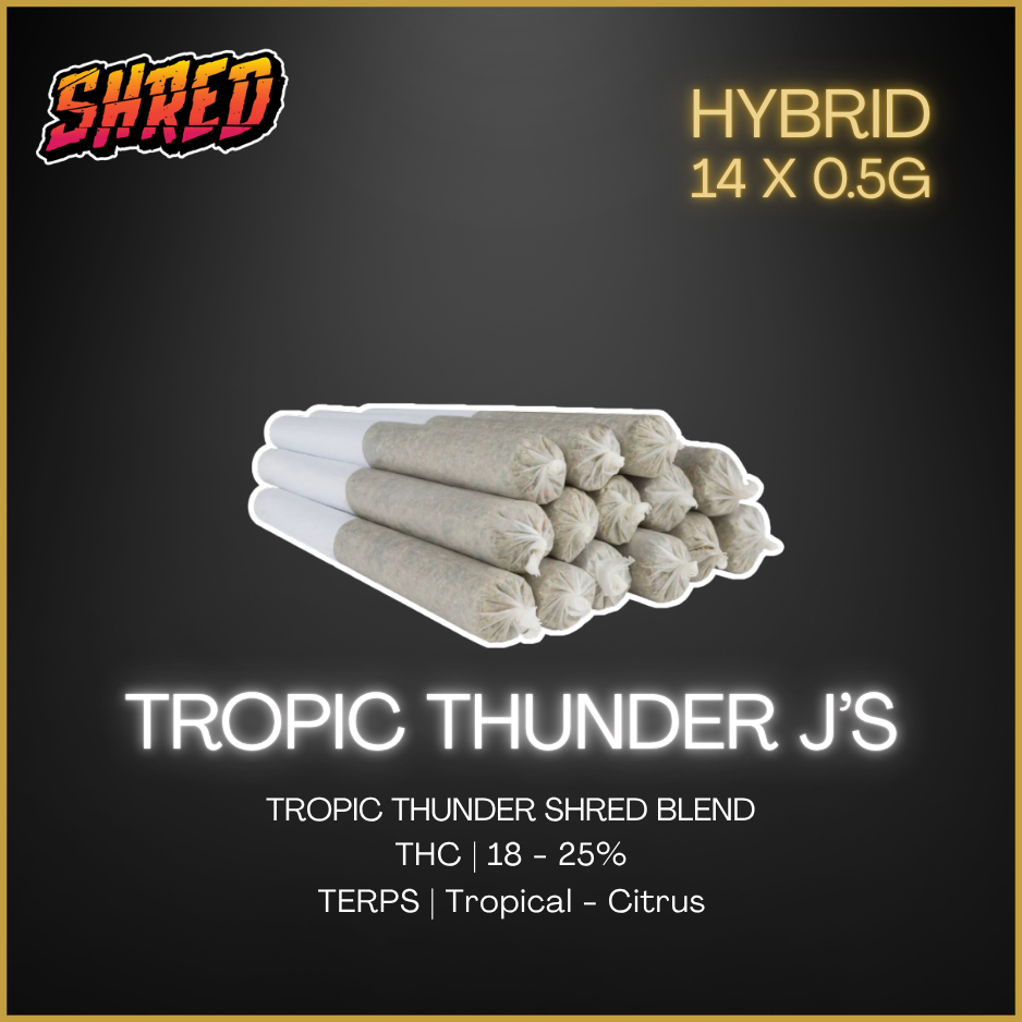 Shred - Tropic Thunder J'S Pre-Rolls - 7G