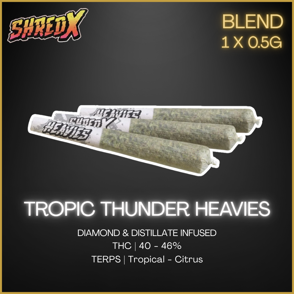 Shred X - Tropic Thunder Heavies Infused Pre-Rolls - 1.5G