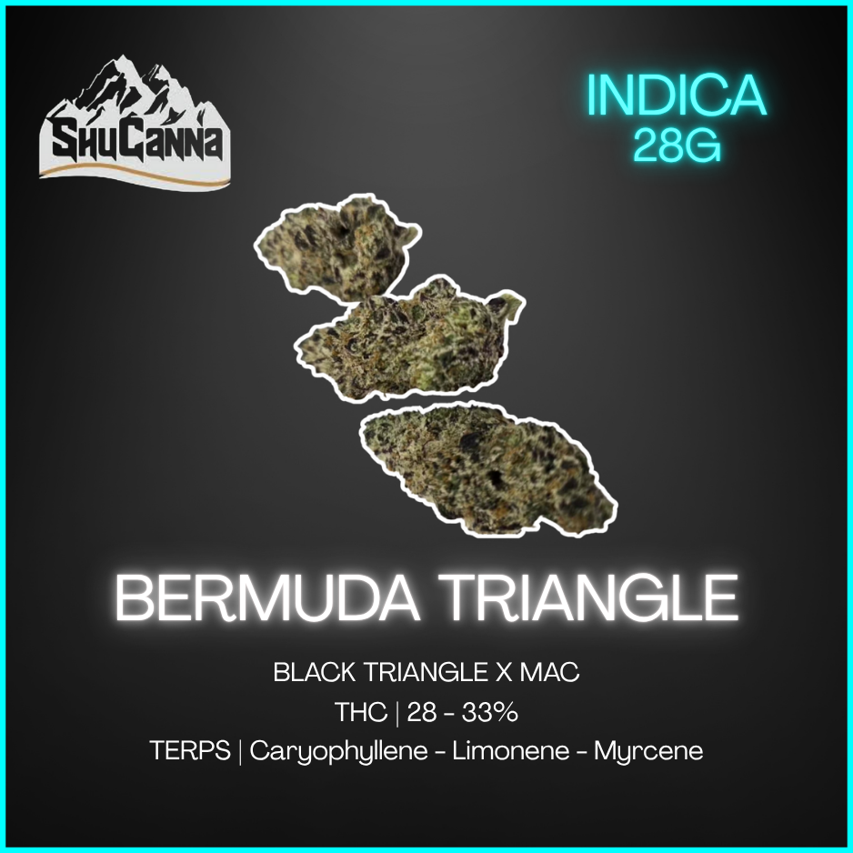Shucanna - Shucanna Bermuda Triangle - 28G