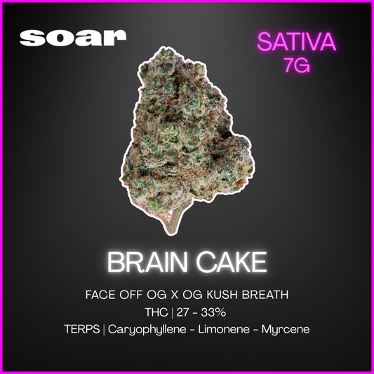 Soar - Brain Cake - 7G