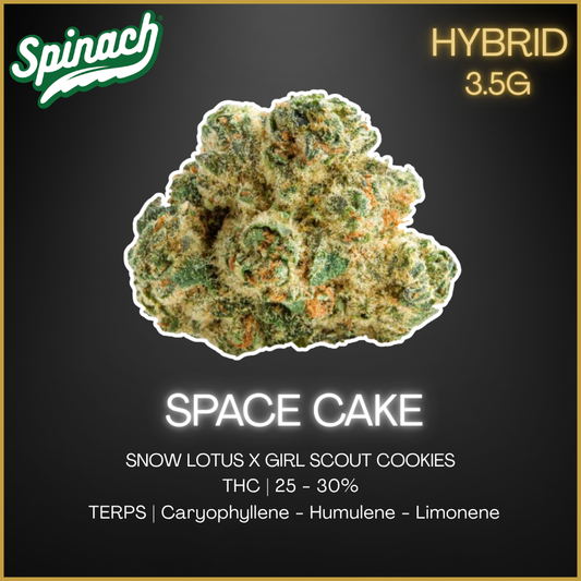 Spinach - Space Cake - 3.5G