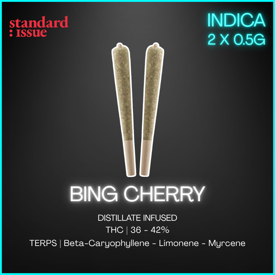 Standard Issue - Bing Cherry Distillate Infused Pre-Rolls - 1G