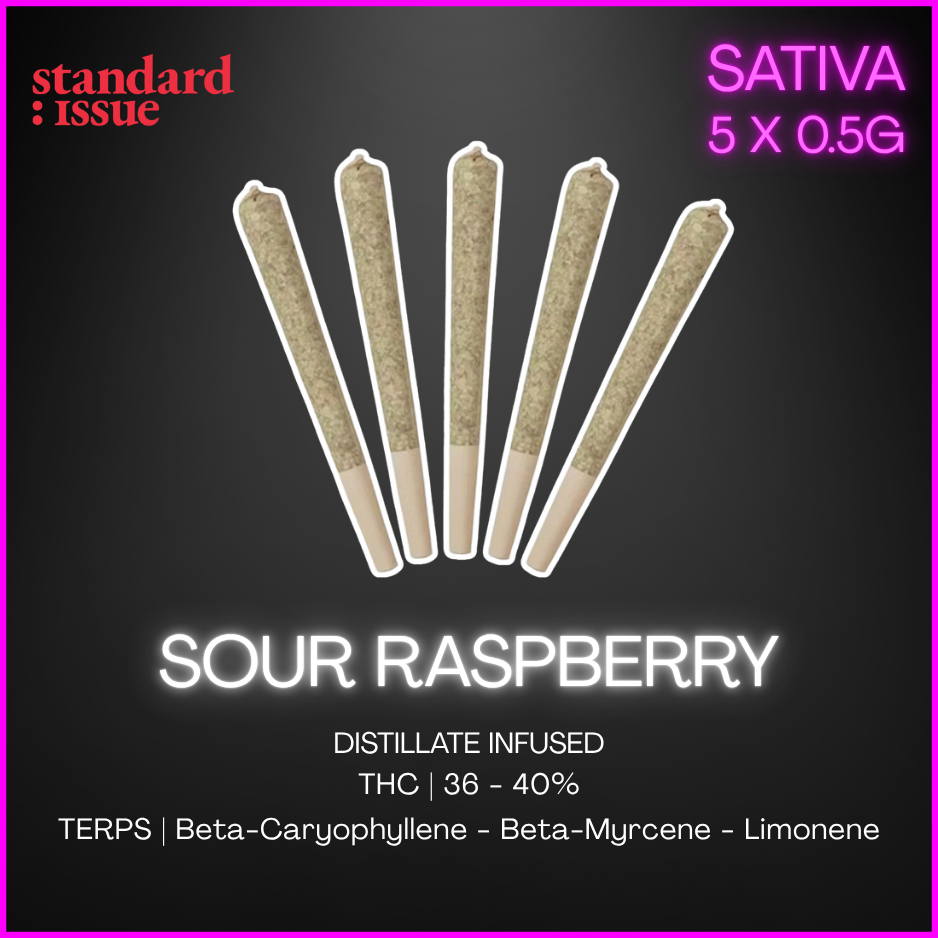 Standard Issue - Sour Raspberry Distillate Infused Pre-Rolls - 2.5G