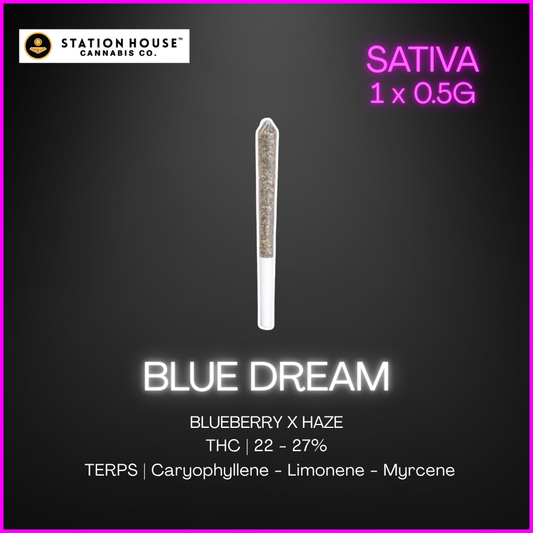 Station House - Blue Dream Single Pre-Rolls - 0.5G