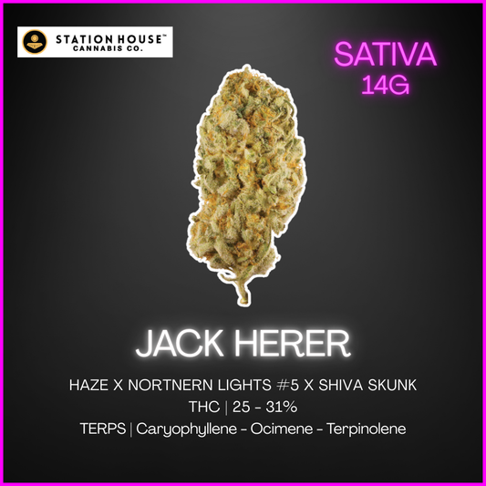 Station House - Jack Herer - 14G