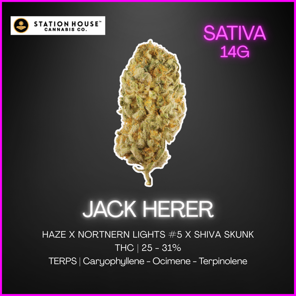 Station House - Jack Herer - 14G – Pineapple Victoria