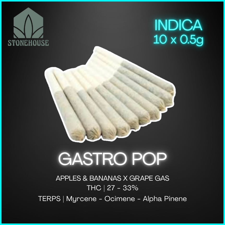 Stonehouse - Gastro Pop Preroll - 10x0.5g