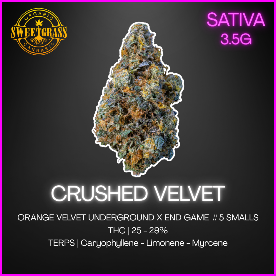 Sweetgrass Organic Cannabis - Crushed Velvet Petites Flower Lto - 3.5G